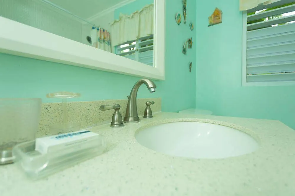Ocho Rios Getaway Villa At The Palms Saint Annʼs Bay